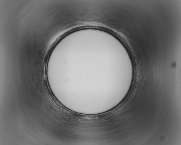 X0000115231271200912111021