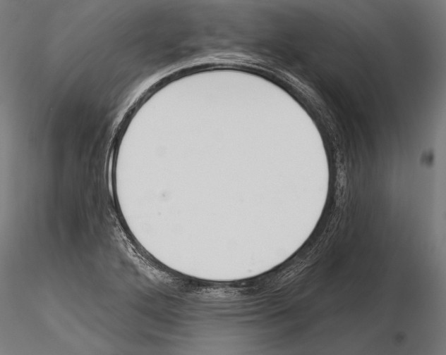 X0000115231272200912111021