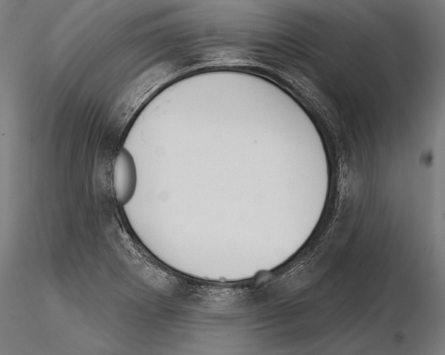 X0000115231273200912111021