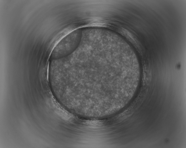 X0000115231276200912111021