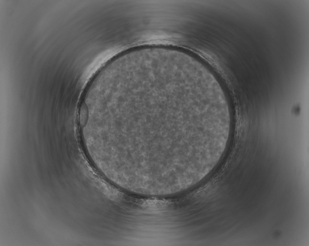 X0000115231277200912111021