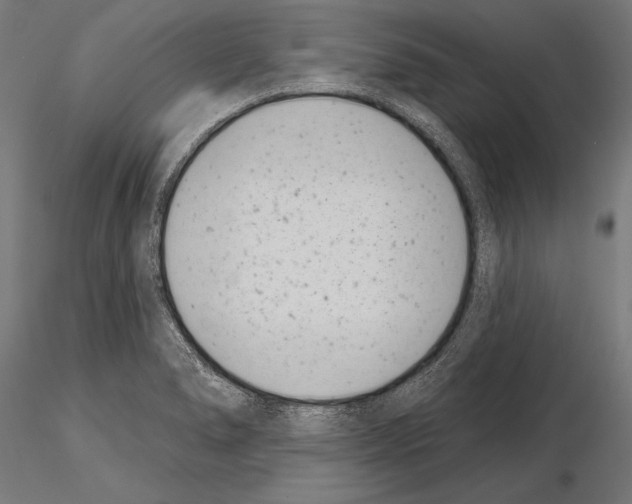 X0000115231278200912111021