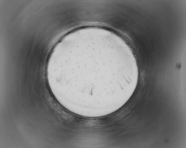 X0000115231279200912111021