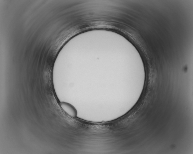 X0000115231281200912111021