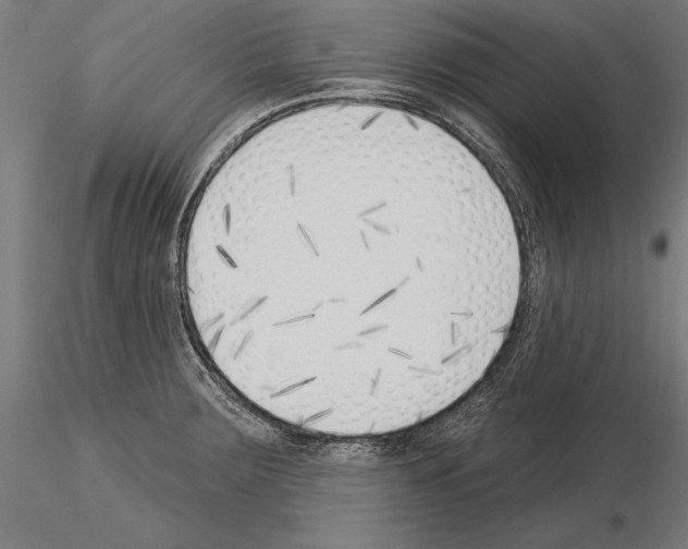 X0000115231283200912111021