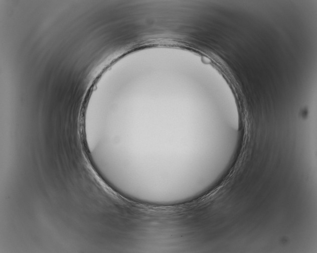 X0000115231285200912111021