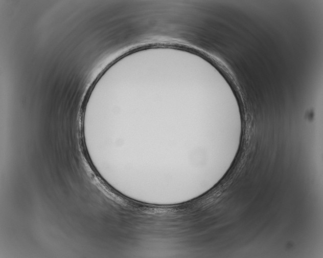 X0000115231287200912111021