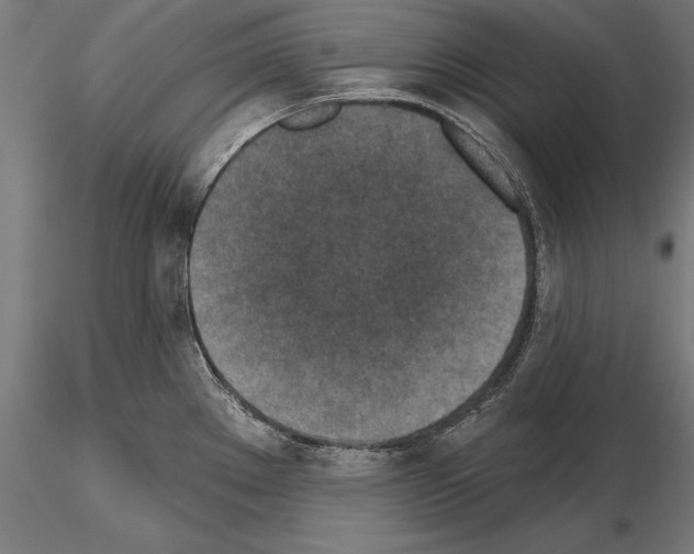 X0000115231289200912111021