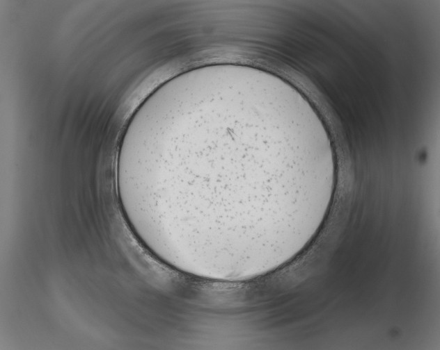 X0000115231290200912111021