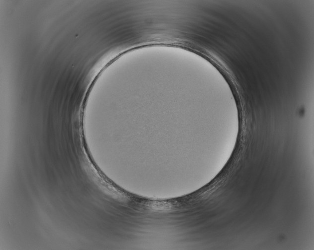 X0000115231291200912111021