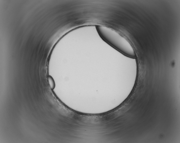 X0000115231292200912111021