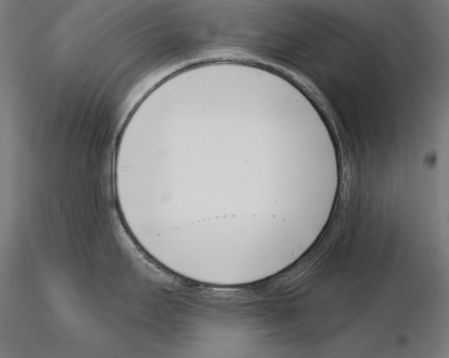 X0000115231295200912111021