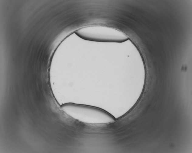 X0000115231296200912111021