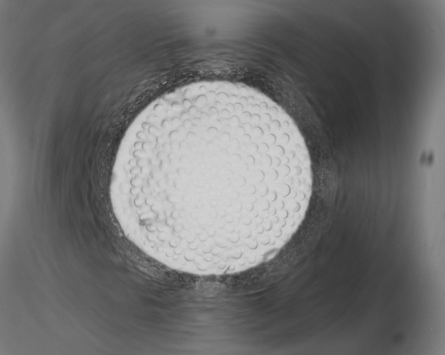 X0000115231297200912111020