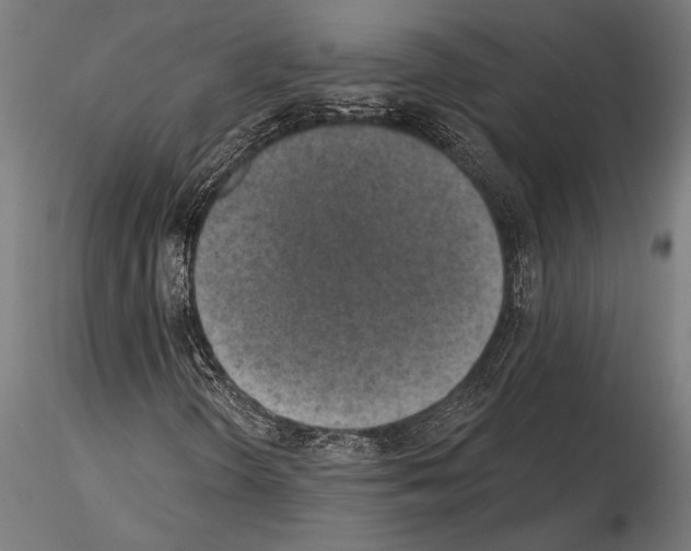 X0000115231298200912111020