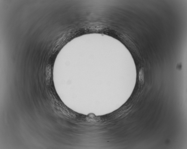 X0000115231299200912111020