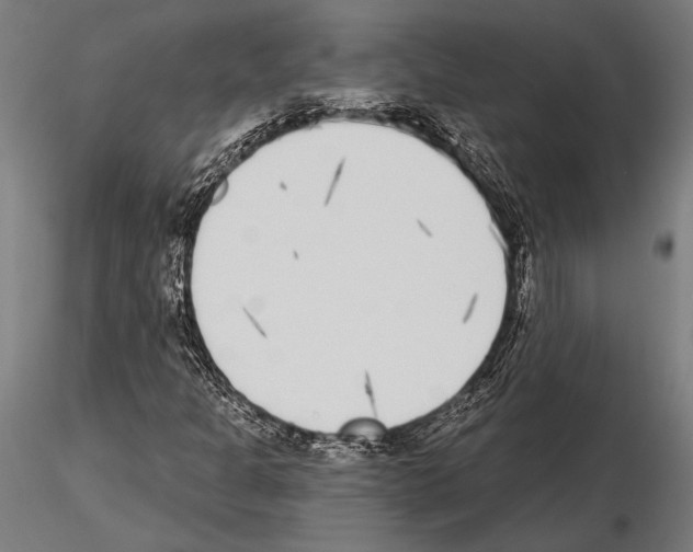 X0000115231301200912111020