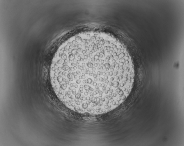 X0000115231302200912111020