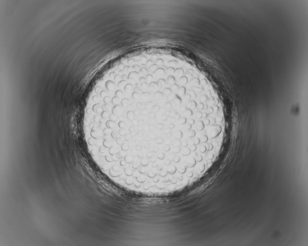 X0000115231305200912111020