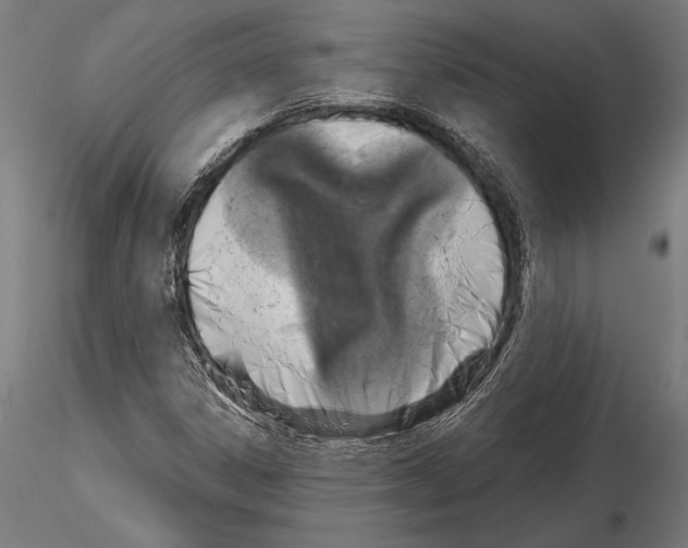 X0000115231306200912111020