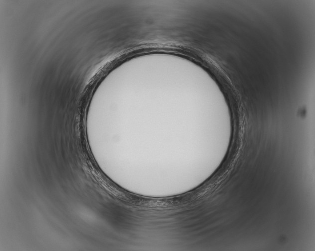 X0000115231307200912111021