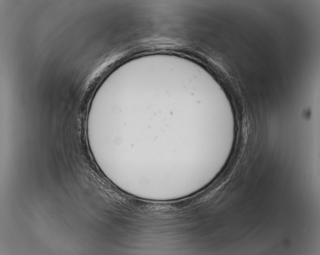 X0000115231309200912111021