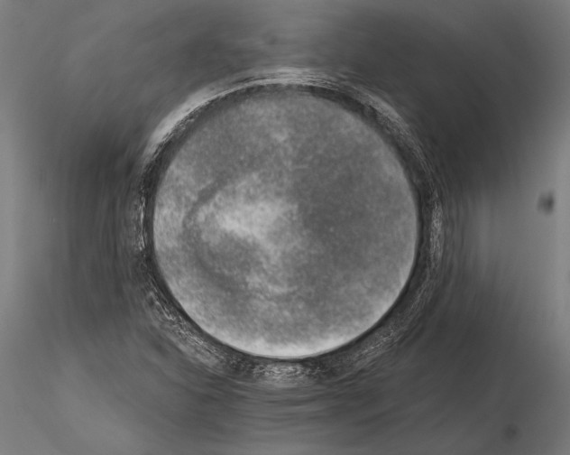 X0000115231310200912111021