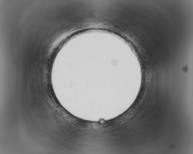 X0000115231311200912111021