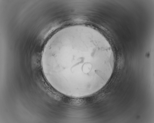 X0000115231314200912111021