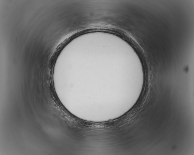 X0000115231315200912111021