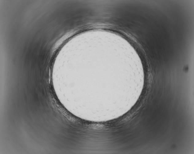 X0000115231317200912111021