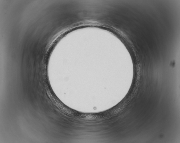 X0000115231318200912111021