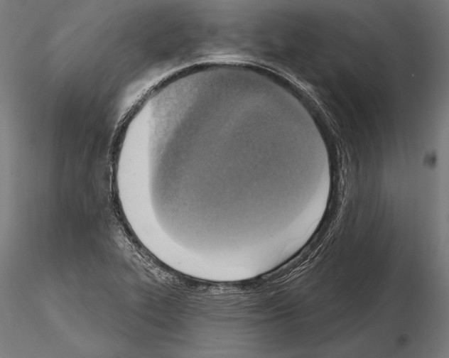 X0000115231319200912111021