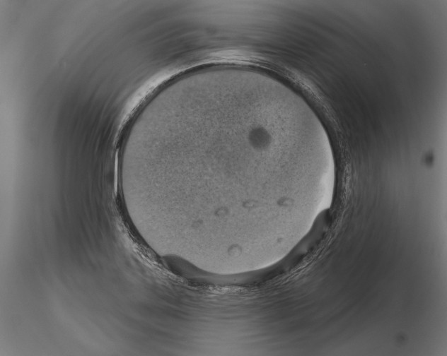 X0000115231323200912111021