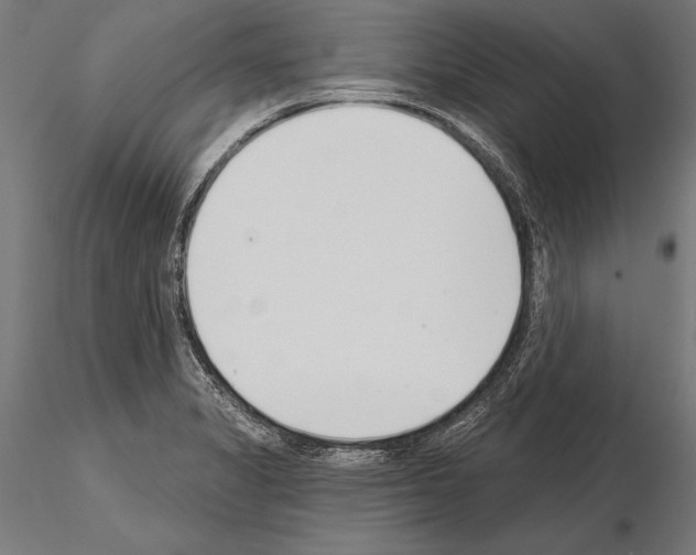 X0000115231325200912111021