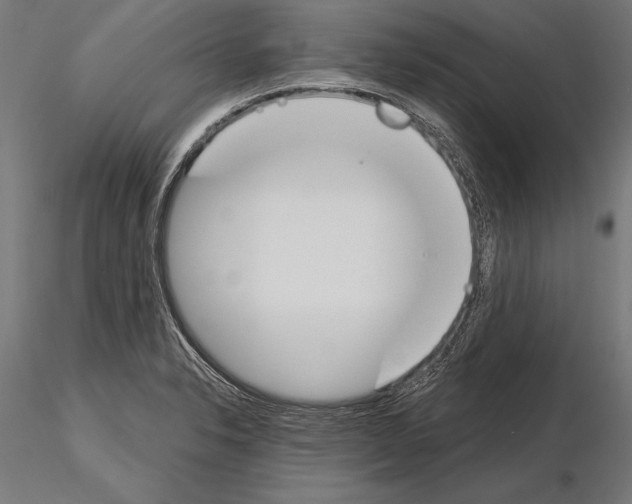 X0000115231326200912111021