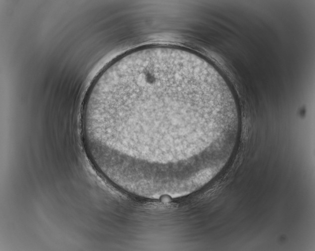 X0000115231331200912111021