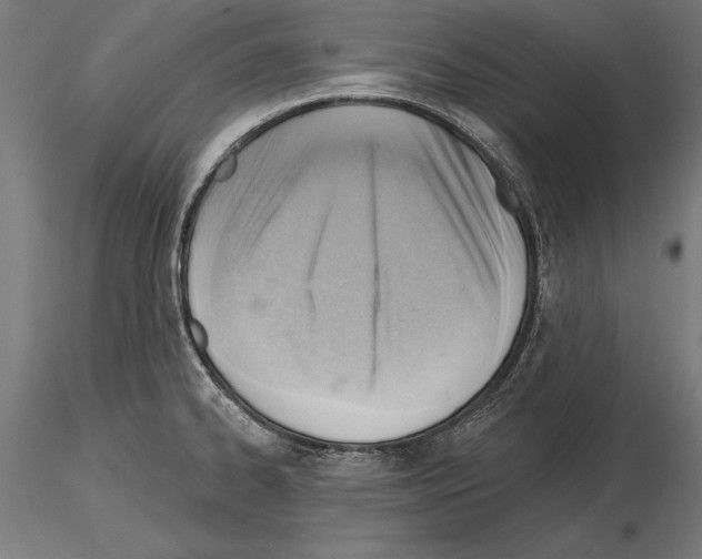 X0000115231334200912111021