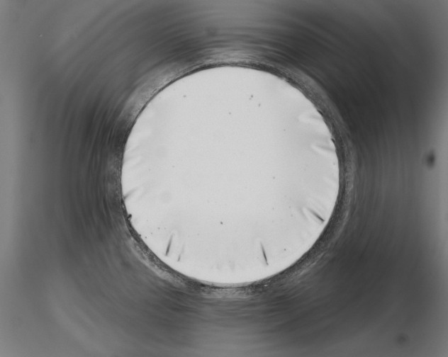 X0000115231337200912111021