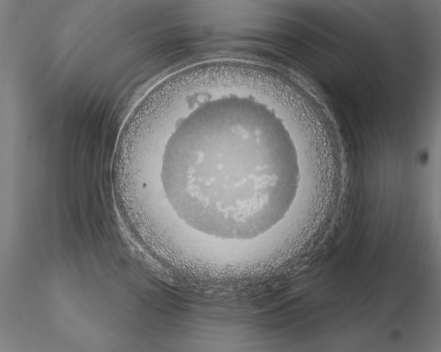 X0000115231338200912111021