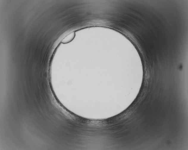 X0000115231339200912111021