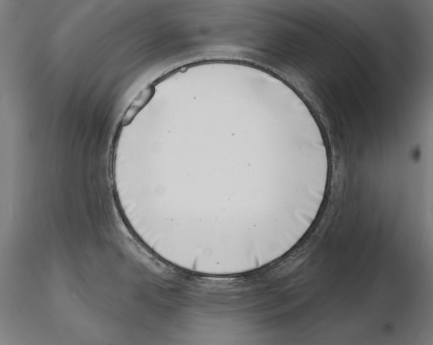 X0000115231342200912111021