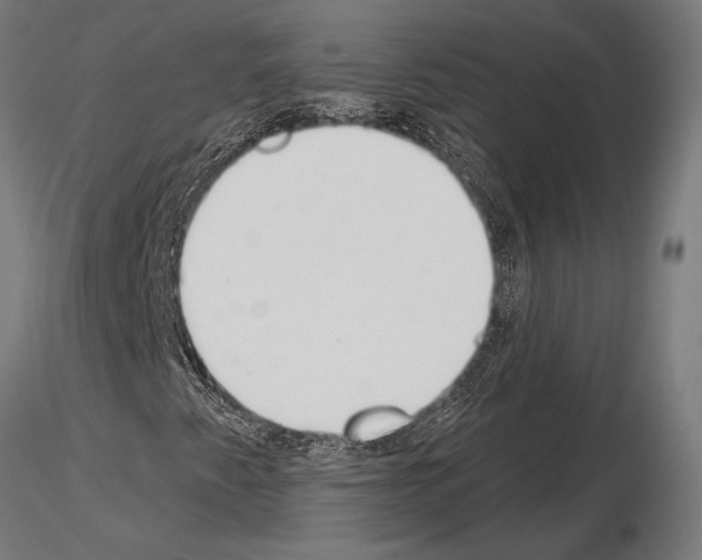 X0000115231345200912111020