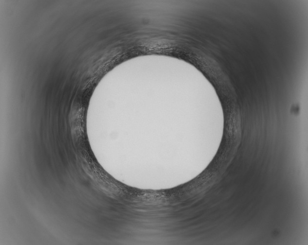 X0000115231346200912111020