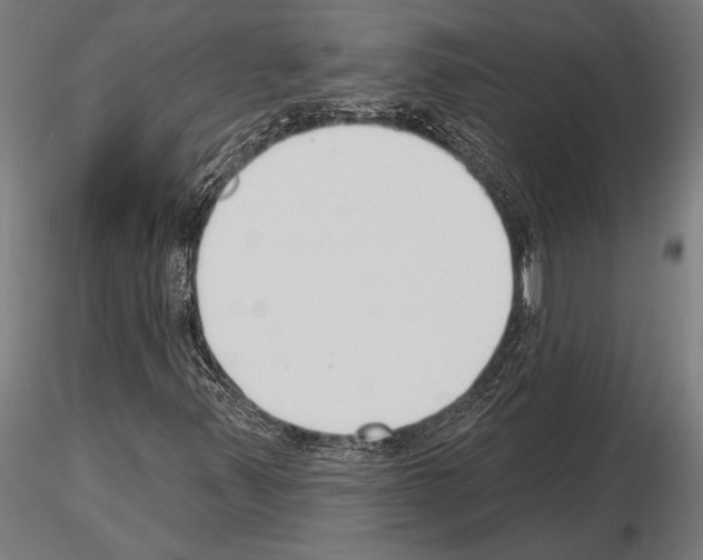 X0000115231347200912111020