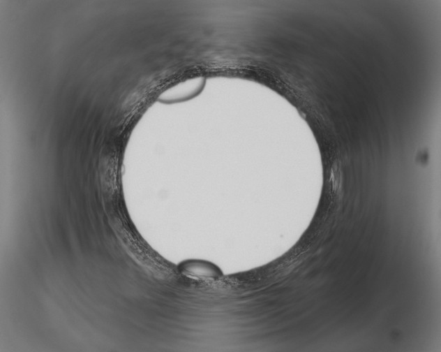 X0000115231348200912111020