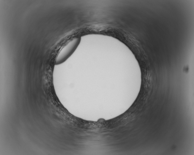 X0000115231349200912111020