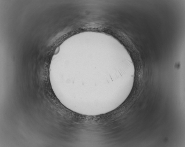 X0000115231350200912111020