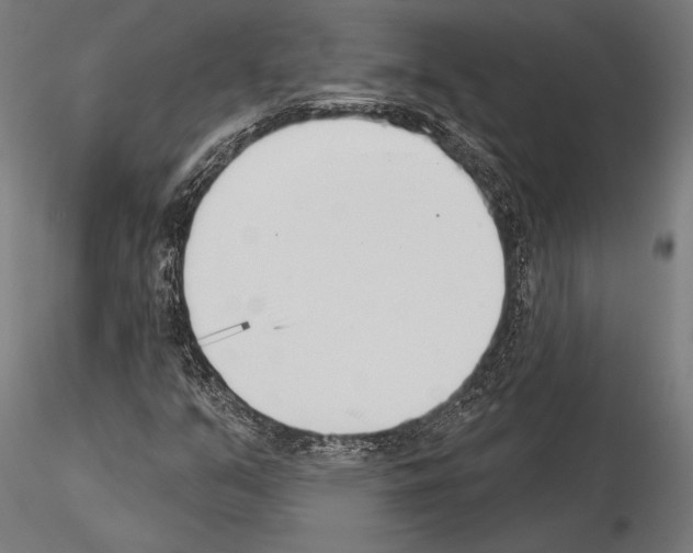 X0000115231351200912111020