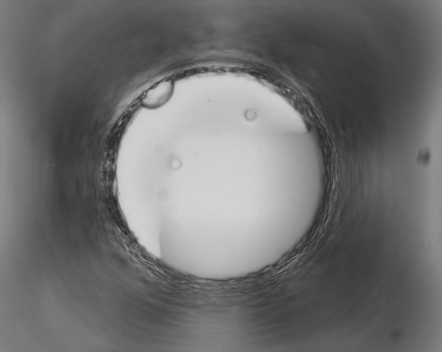 X0000115231352200912111020